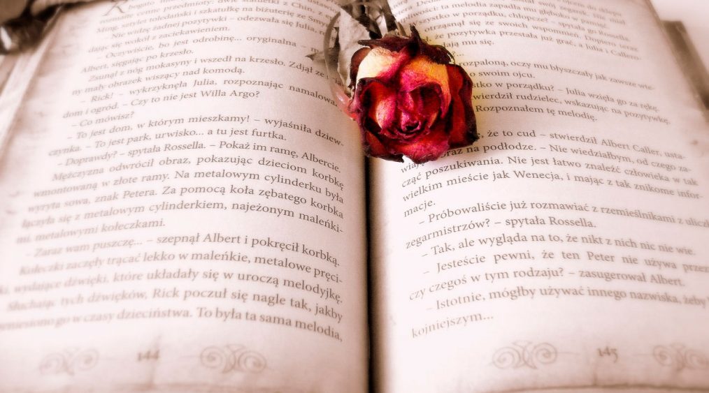 libro con una rosa