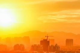 Boletín #15 Enero 2018 - Olas de calor