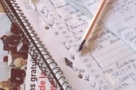 Boletín #17 Enero 2018 - Editorial