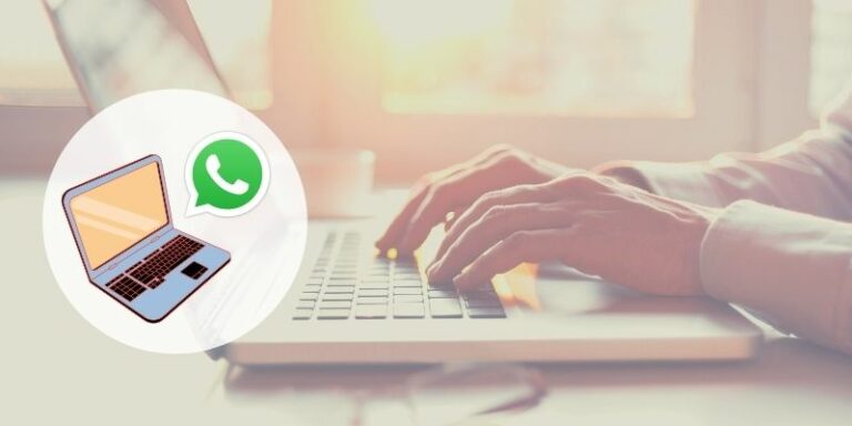 C Mo Usar Whatsapp En La Computadora Mayores Conectados