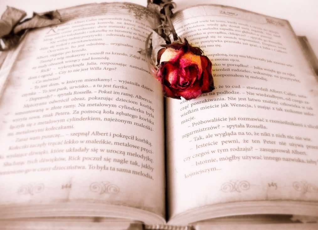 libro con una rosa