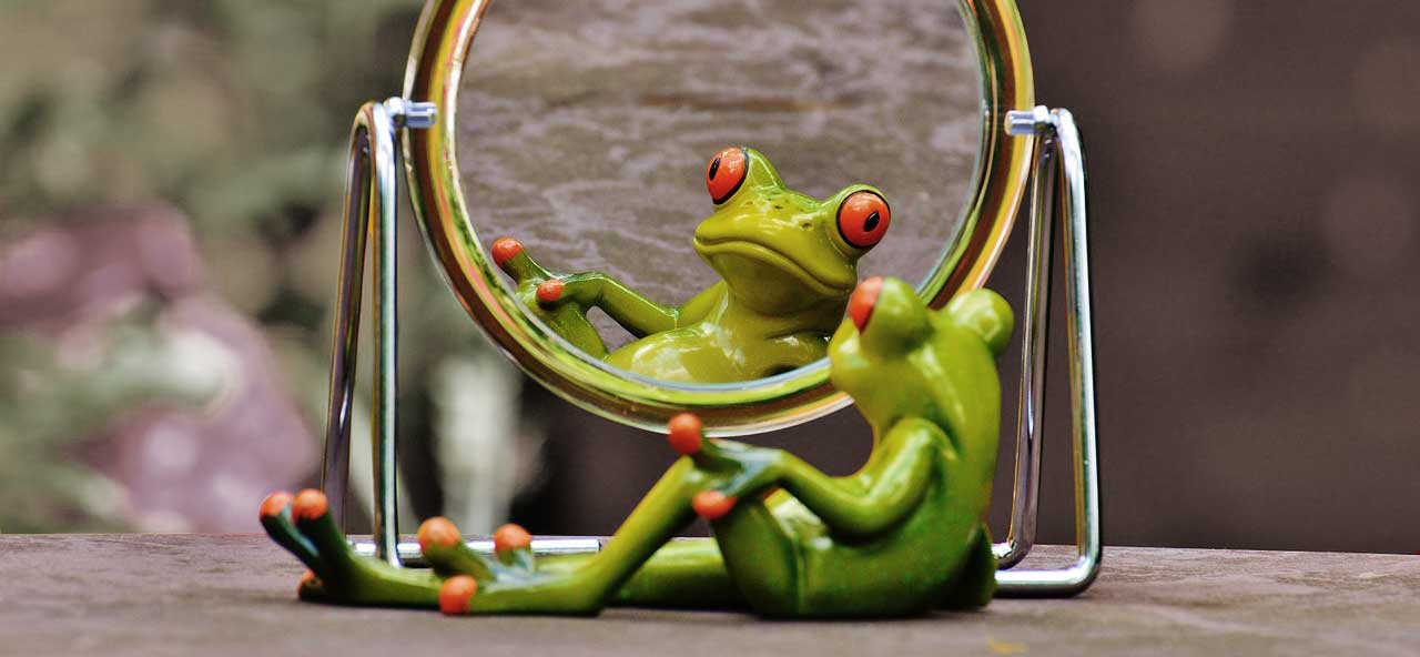 estatuilla rana mirándose a un espejo