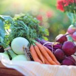 alimentos saludables para una dieta sana