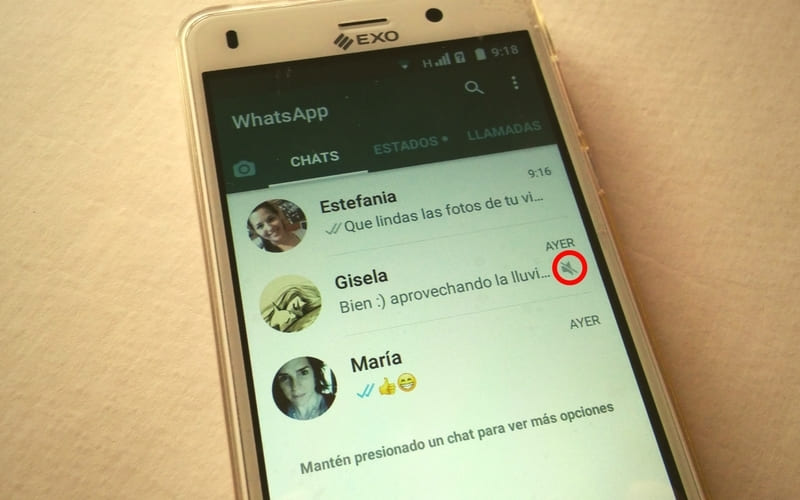 como silenciar chat en whatsapp