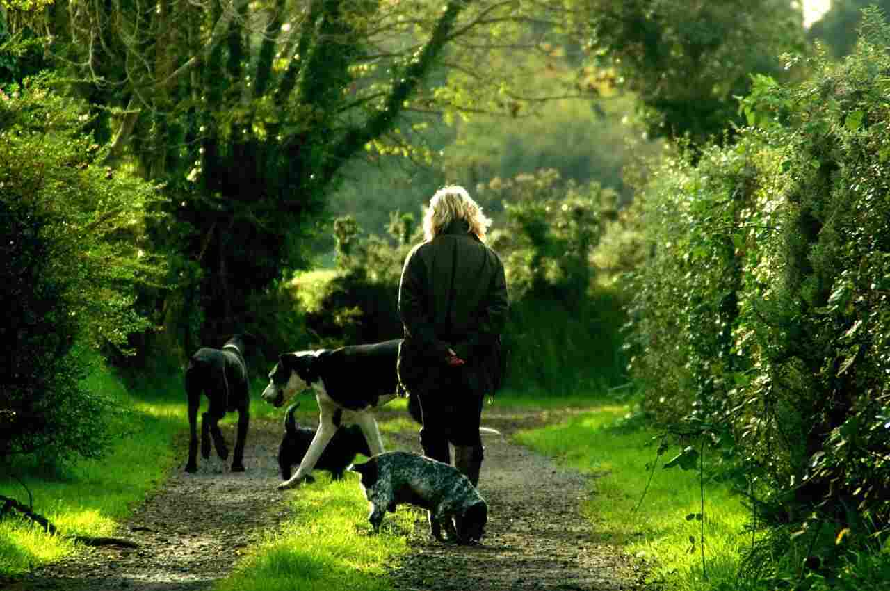 Señora andando por un camino con sus mascotas en el día del animal