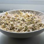 imagen de plato de lentejas germinadas