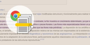 enlace a texto resaltado en chrome