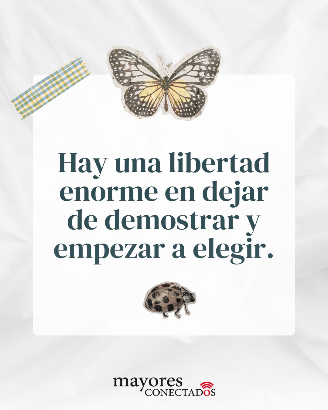 Hay una libertad enorme en dejar de demostrar y empezar a elegir Hay una libertad enorme en dejar de demostrar y empezar a elegir