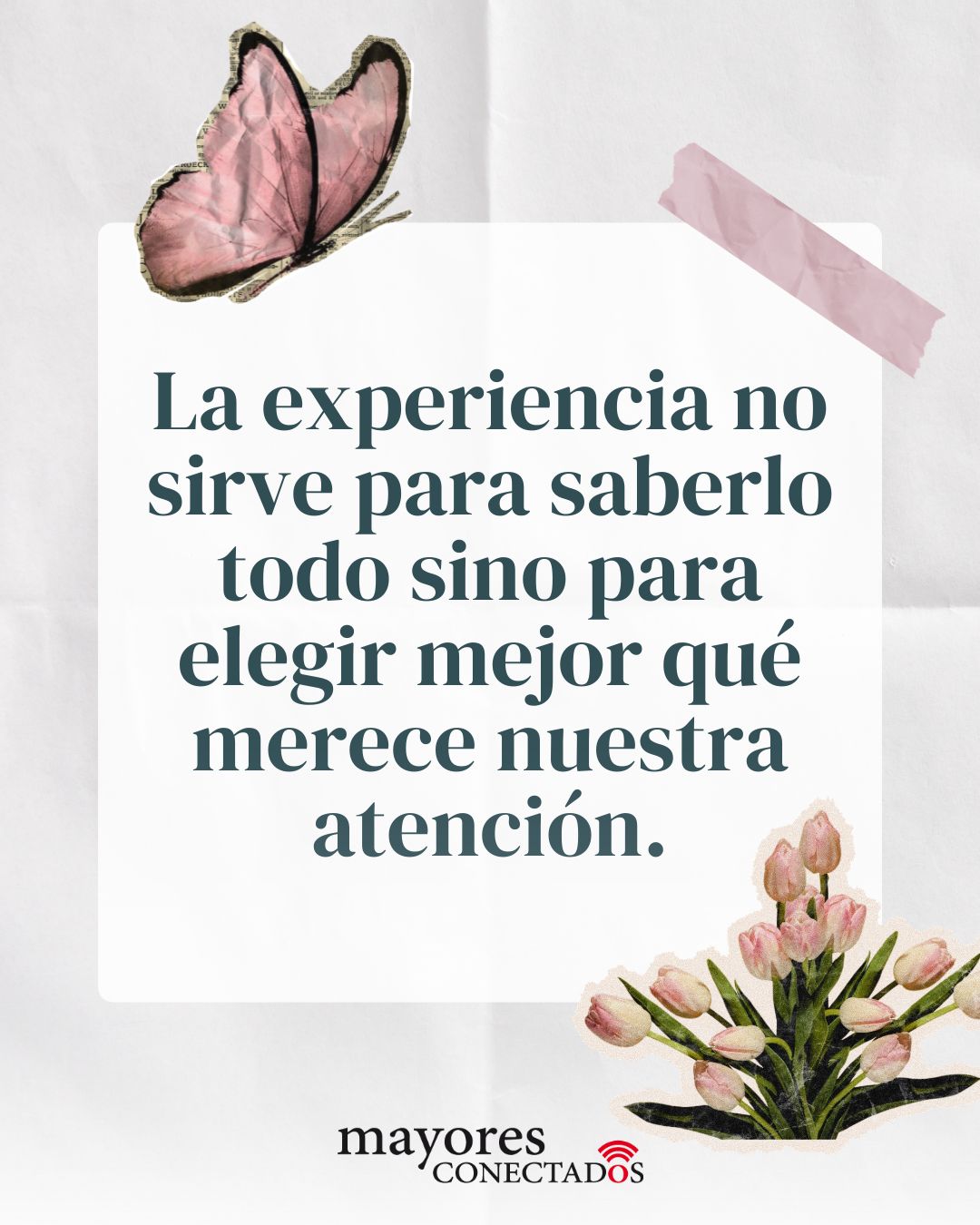 La experiencia no sirve para saberlo todo sino para elegir mejor qué merece nuestra atención. La experiencia no sirve para saberlo todo sino para elegir mejor qué merece nuestra atención.