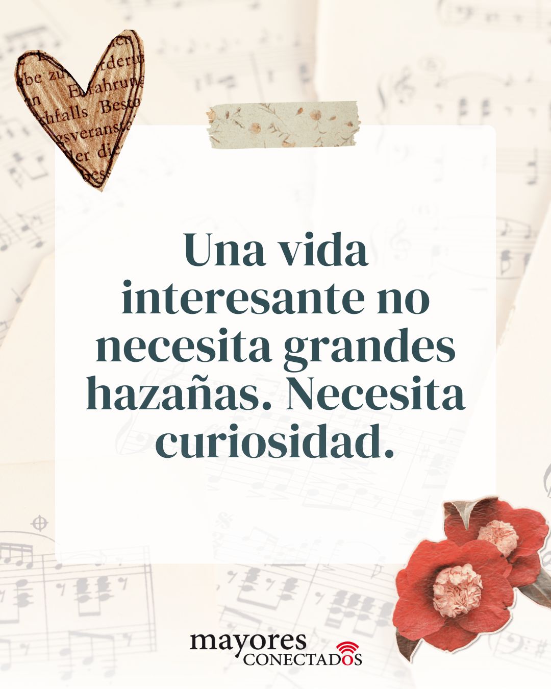 Una vida interesante no necesita grandes hazañas. Necesita curiosidad. Una vida interesante no necesita grandes hazañas. Necesita curiosidad.